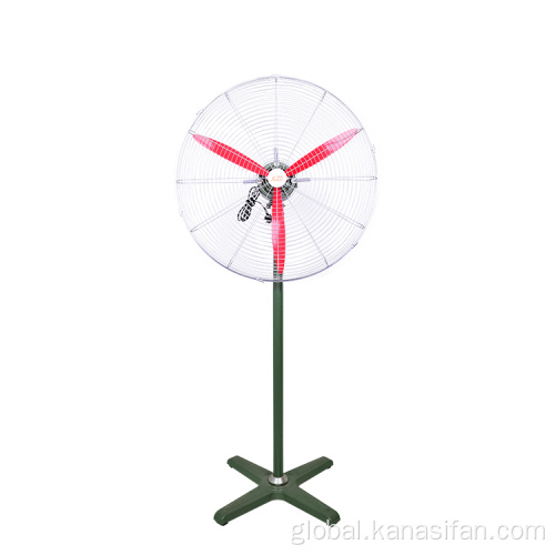 Buy Discount Ventilateur Fan Ventilateur Black Electric Metal Pedestal Stand Fan Factory